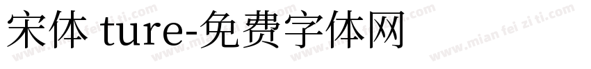 宋体 ture字体转换